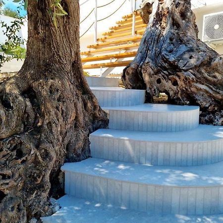Le Fronde Вьесте Экстерьер фото